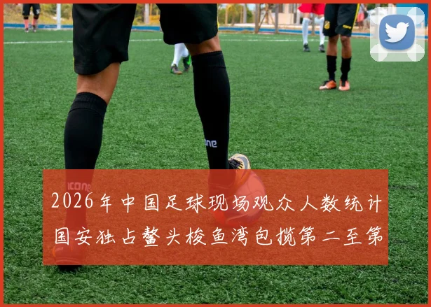 2026年中国足球现场观众人数统计国安独占鳌头梭鱼湾包揽第二至第七位